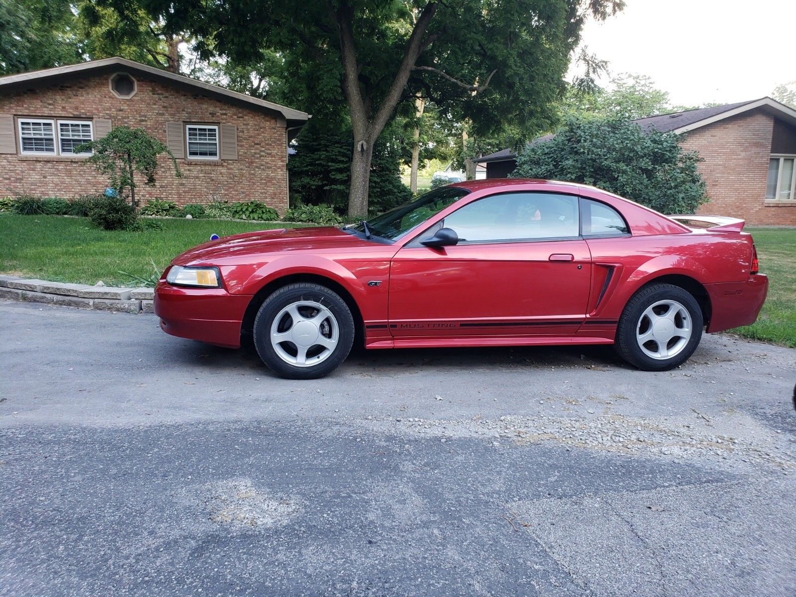 2000 Ford Mustang Options