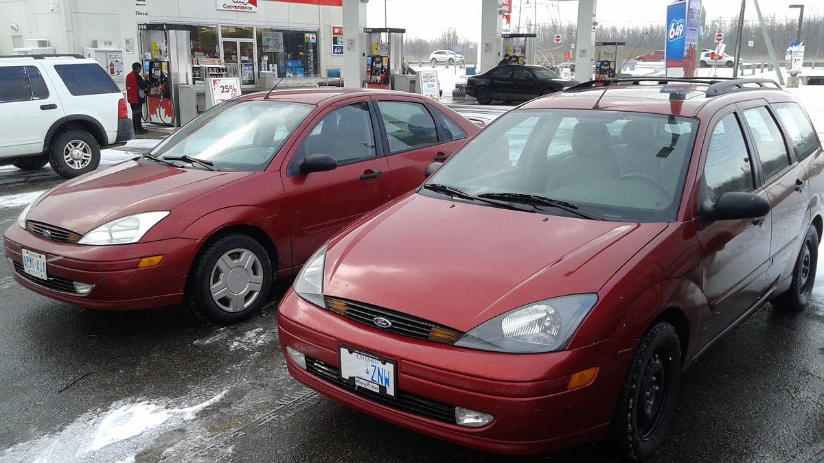 COAL: 2001 Ford Focus – A Daily Dose Of Joy | Curbside Classic