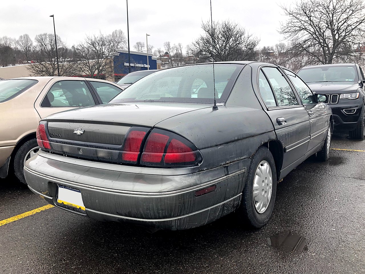File:1998 Chevrolet Lumina (rear).jpg - Wikimedia Commons