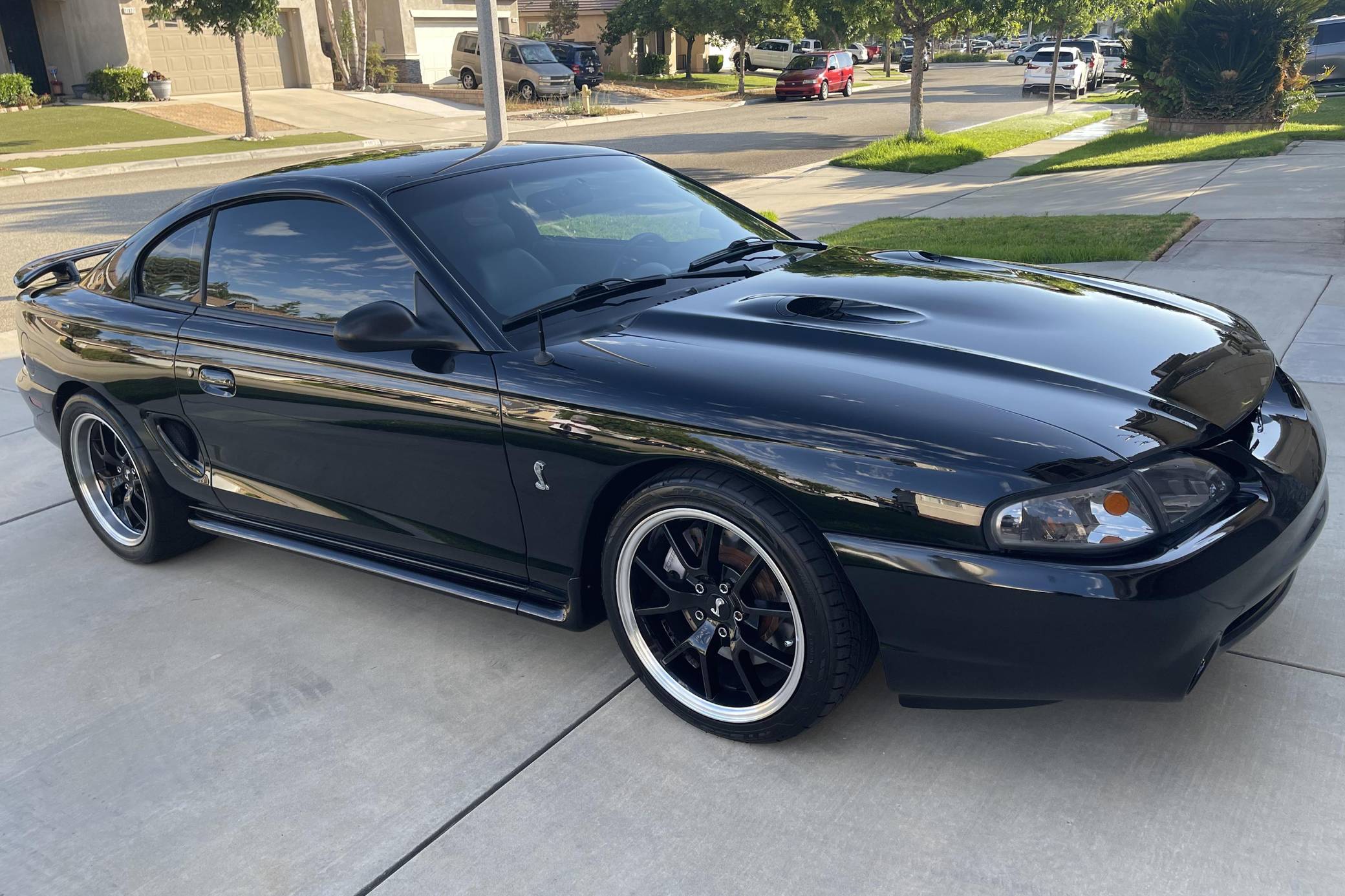 1997 Ford Mustang SVT Cobra auction - Cars & Bids