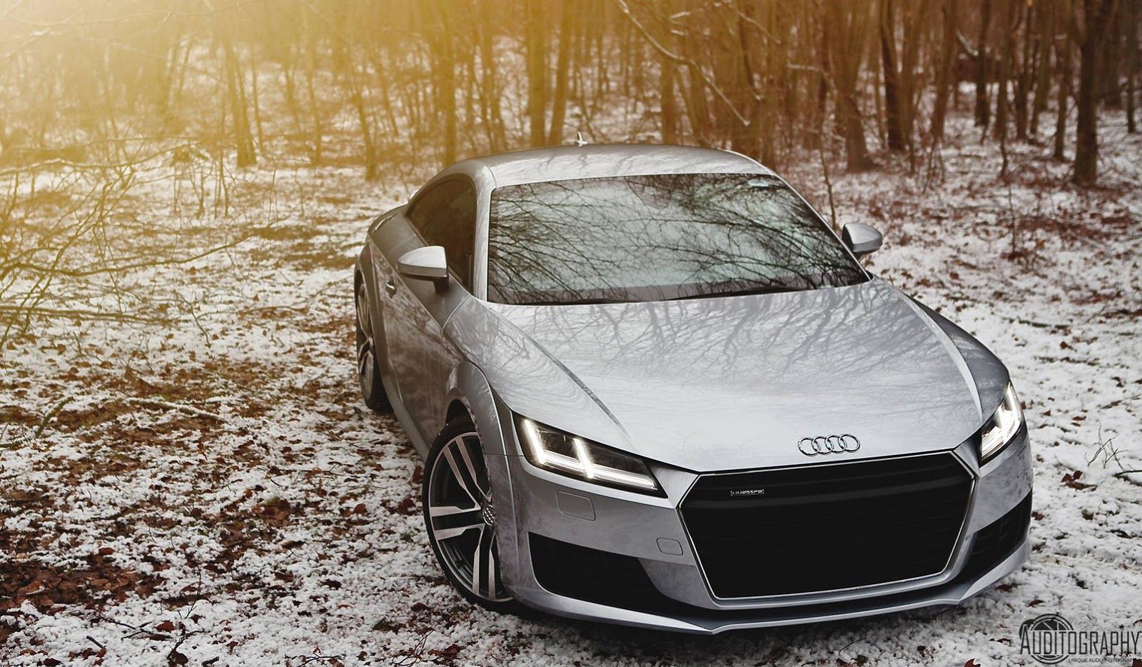 2015 Audi TT Is The Perfect Snow Angel | Carscoops | Audi tt, Audi, Cool  sports cars