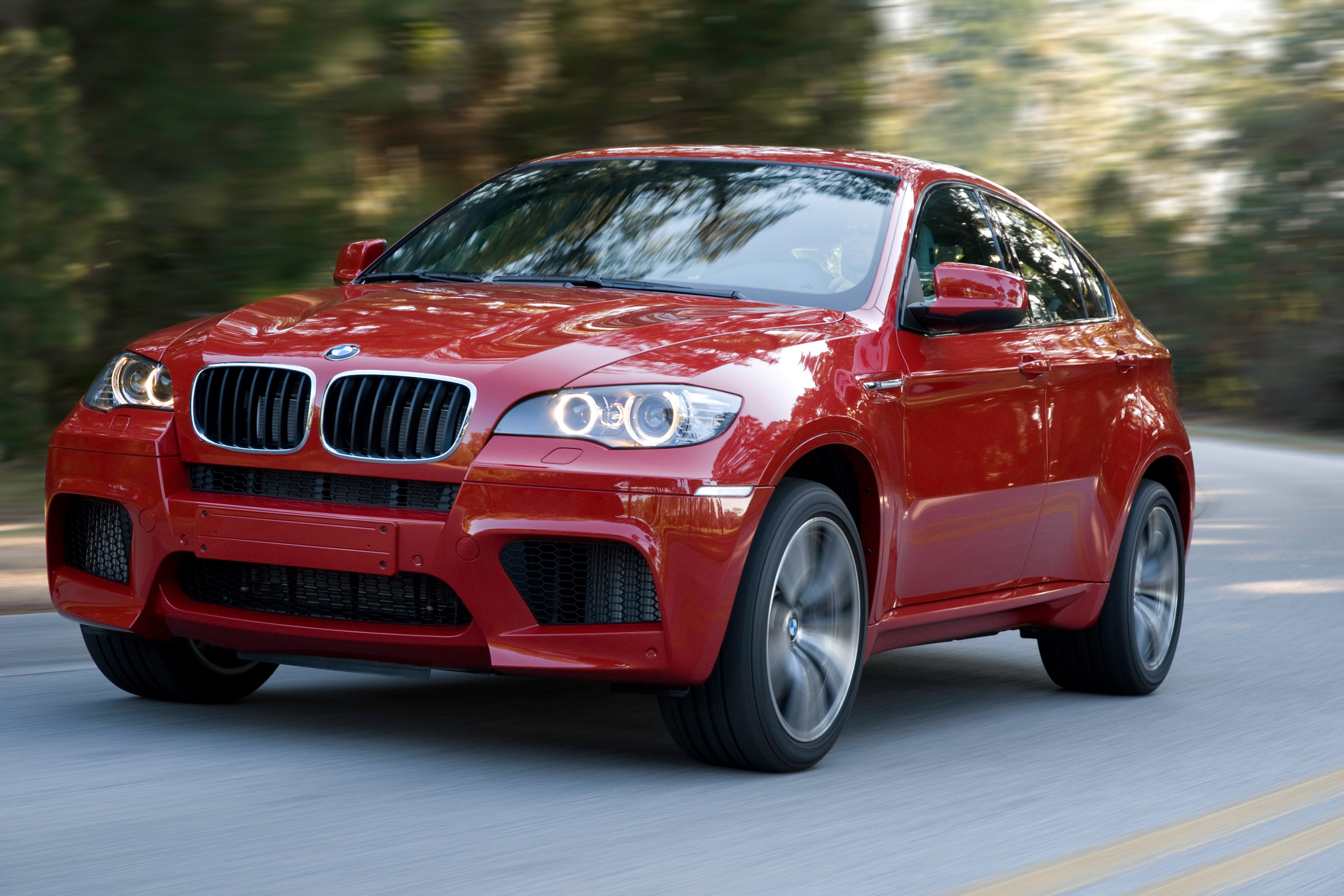 BMW X6 M (2010) - picture 14 of 34