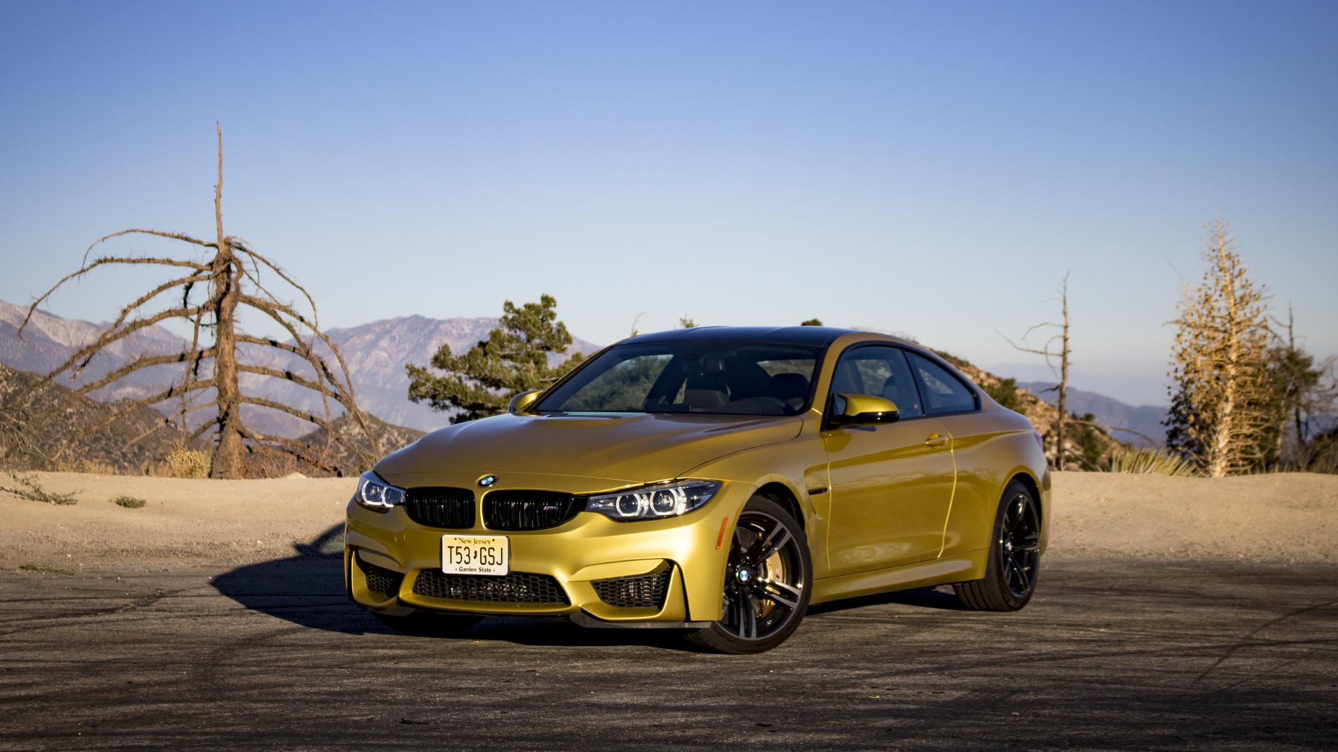 2018 BMW M4 Test Drive Review: The Gold Standard Holds Its Luster...For Now