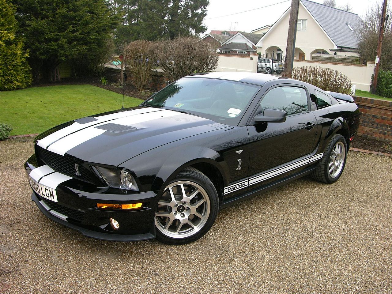 File:2008 Ford Mustang Shelby GT500 - Flickr - The Car Spy (29).jpg -  Wikimedia Commons