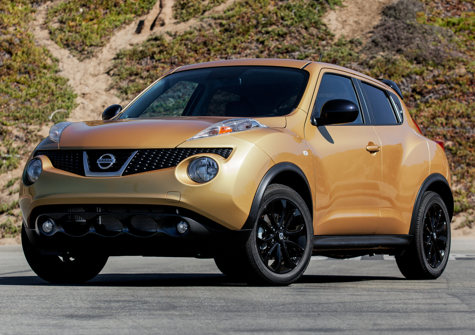2014 Nissan Juke: Prices, Reviews & Pictures - CarGurus