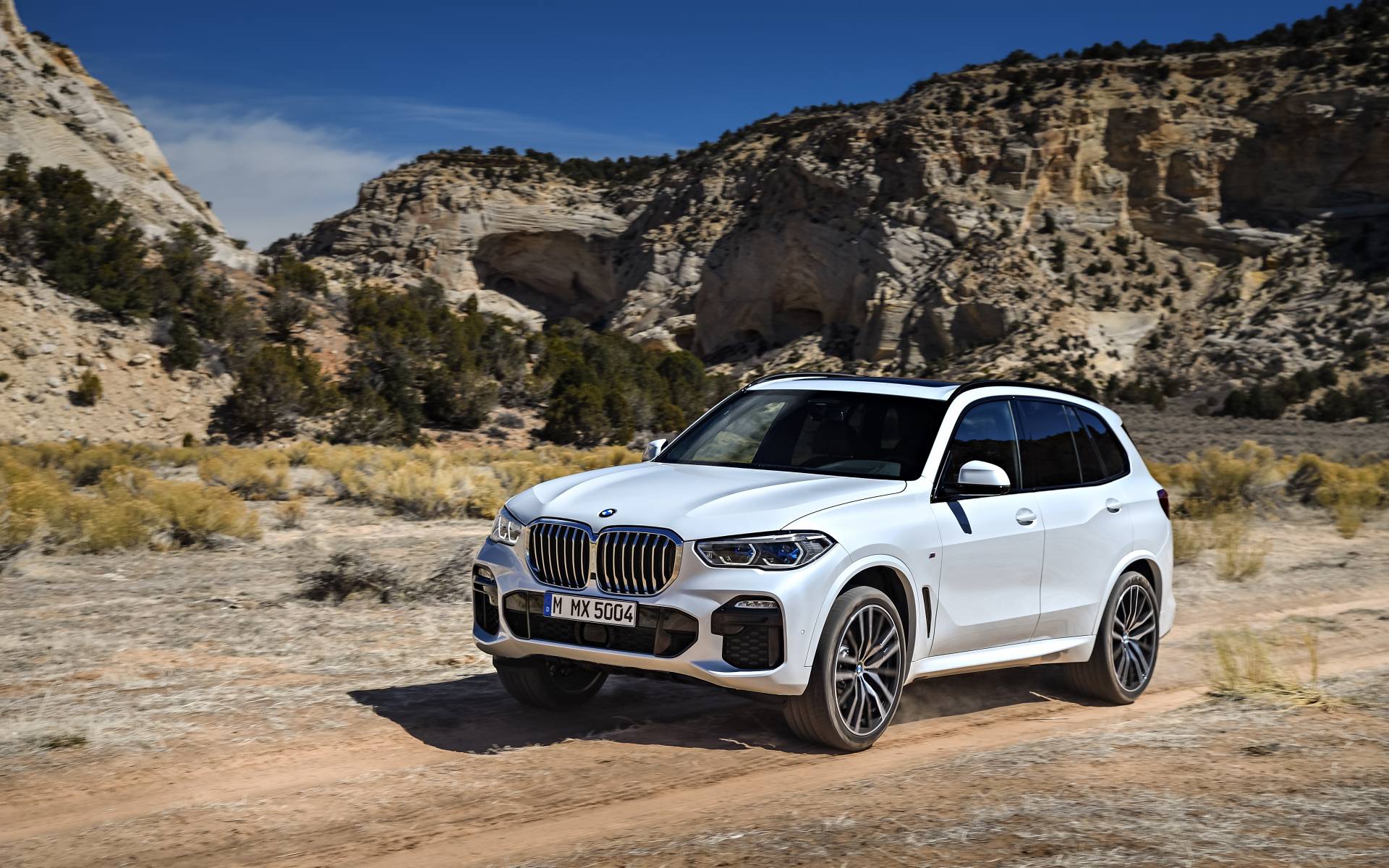 2020 BMW X5: Six Cylinders are Enough - The Car Guide