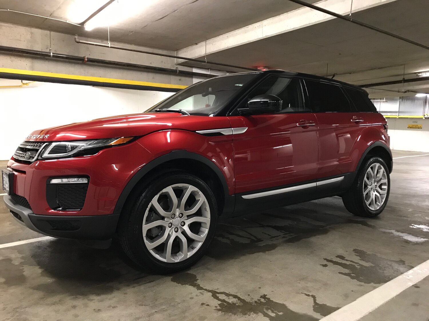 Case Study: 2018 Range Rover Evoque — Clean My Car - Vancouver BC
